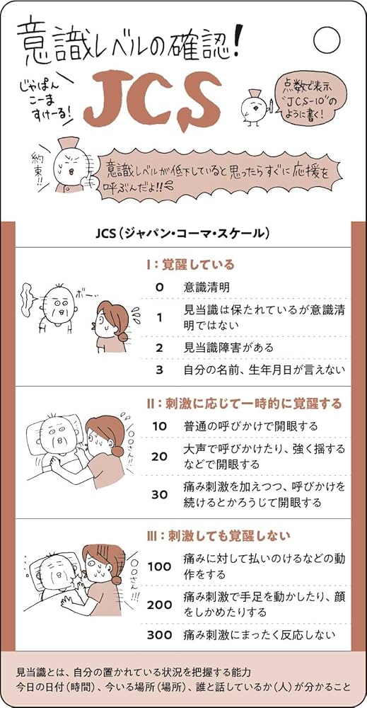 ズルカンカードブック ([実用品]) | 中山 有香里 |本 | 通販